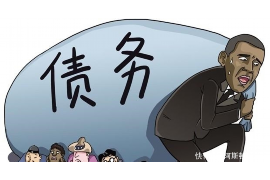 腹黑萌宝讨债爹：一场温馨的债务纠葛
